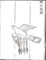 The 'Flying Crow with Magic Fire', an aerodynamic winged rocket bomb, Huolongjing, 14th century