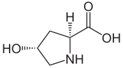 Miniatura per Hidroxiprolina