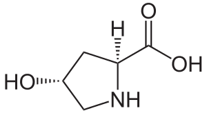 (2S,4R)-4-Hydroxyprolin.svg