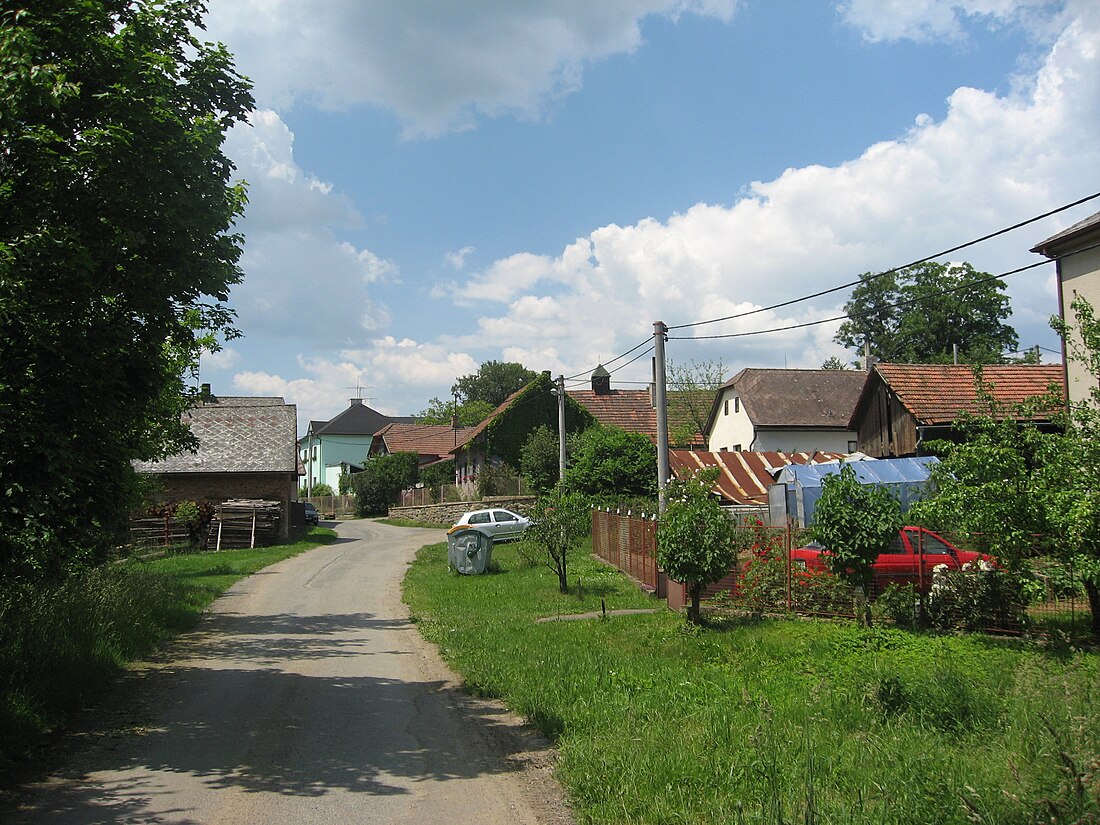 Úhořilka