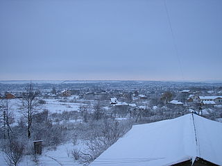 <span class="mw-page-title-main">Barvinkove</span> Town in Kharkiv Oblast, Ukraine