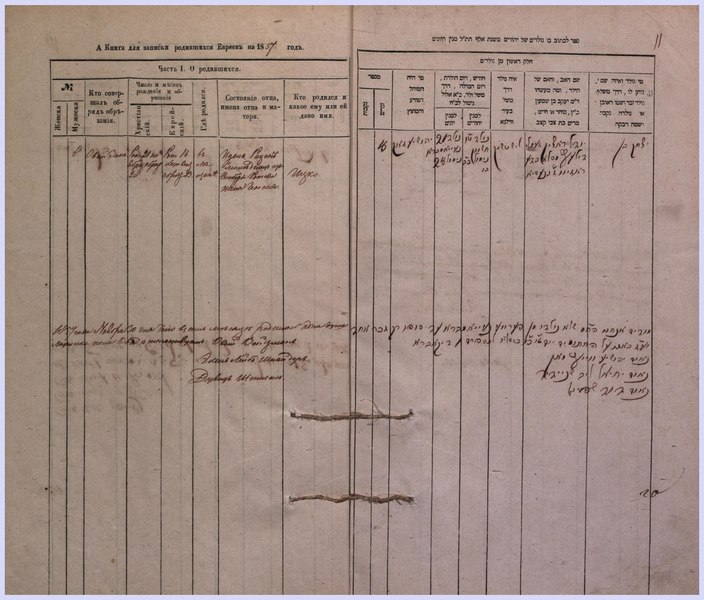 Метрические книги рязанской области. Описи Веневского уезда. Архив Житомирской области фонд 77 опись 1 дело 211. Чистый бланк метрическиой книгиги. Книга записей о родившихся евреев Украина.