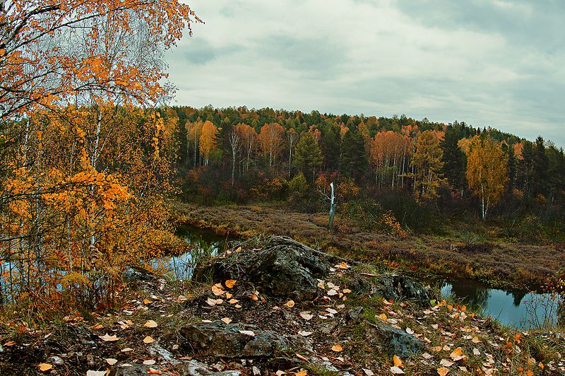 File:Золотая осень урала.jpg