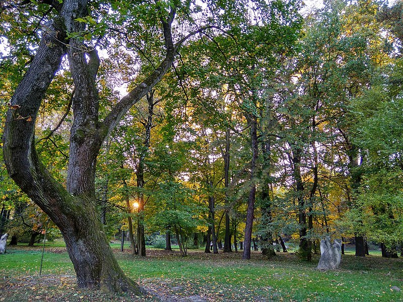 File:Львів, Стрийський парк 10-2018 08.jpg