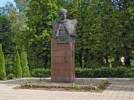 Полоцк. Памятник Владимиру Азину..jpg