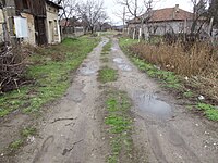 Улица Стара планина в с. Ново село, Видинско.jpg