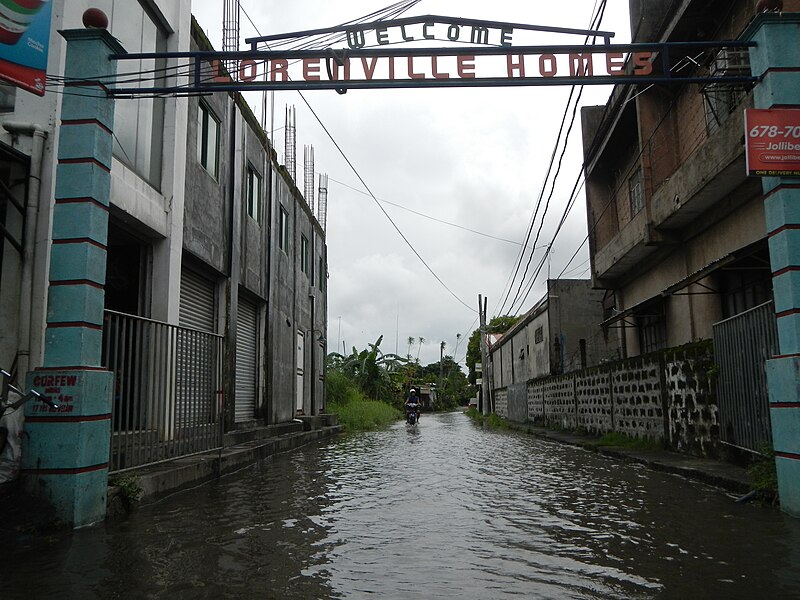 File:0339jfCamella Baliuag Tangos Fields Welcome Bulacanfvf 18.JPG