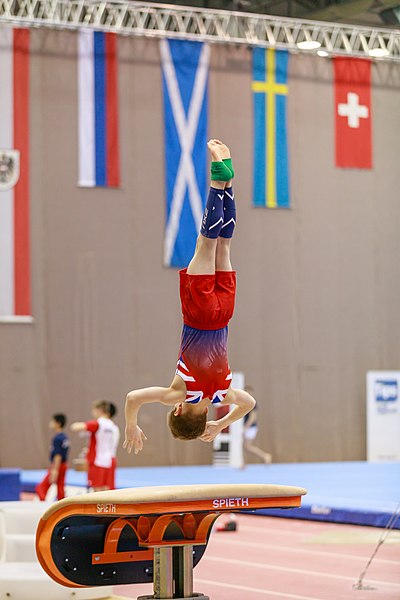 File:15th Austrian Future Cup 2018-11-24 Liam Jury (Norman Seibert) - 10755.jpg