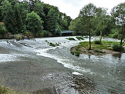 (LSG:BW-4.25.129)_Obermarchtal, Danube in Baden-Württemberg