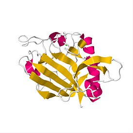 Кристаллическое строение связывающего рецептор участка ангиопоэтина-2, вырабатываемого в клетках человека.