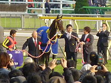 ブエナビスタ (競走馬) - Wikipedia
