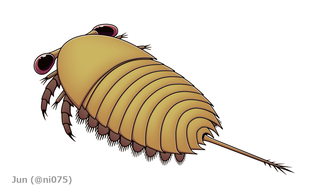 <i>Sarotrocercus</i> Extinct genus of Cambrian organisms