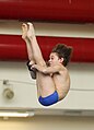 * Nomination: B-Final Men at the 48th Hallorenpokal in diving in Halle (Saale) on 5 February 2023. By User:DerHexer --Augustgeyler 18:16, 19 May 2023 (UTC) * * Review needed