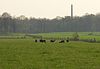 Terrein waarin een urnenveld