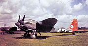 25bg-mosquito