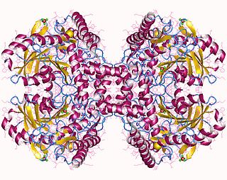 <span class="mw-page-title-main">O-phospho-L-seryl-tRNASec:L-selenocysteinyl-tRNA synthase</span>