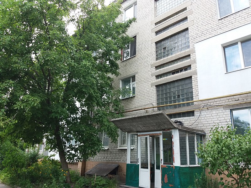 File:7 Chornomorivska Street, Svitlovodsk (2019-07-19) 02.jpg