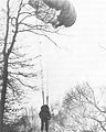 American paratrooper caught in a tree (24th March 1945)