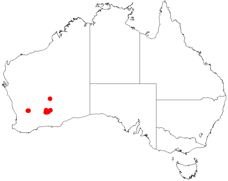 File:Acacia websteriDistMap956.png