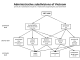 ベトナムの地方行政区画