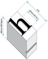 27/06: Esquema tipogràfic on es mostra un tipus amb la mida del cos i l'altura de la x.