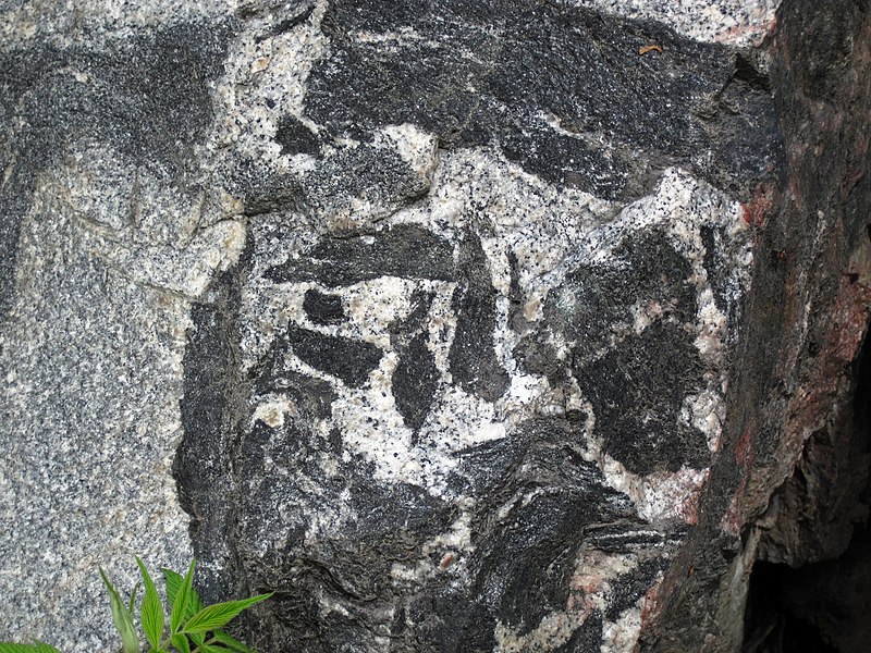 File:Amphibolite inclusions in Giants Range Batholith (Neoarchean, 2.674-2.682 Ga; Confusion Hill roadcut, just north of Virginia, Minnesota, USA) 1 (23640848356).jpg