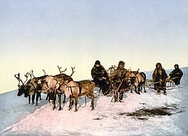 Очень изящный маленький олень, 6 (шесть) букв - Кроссворды и сканворды