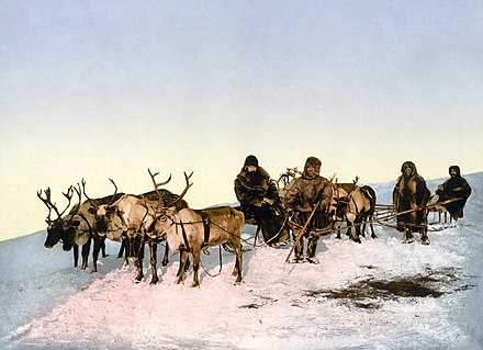 A team pulling a sled near Arkhangelsk, Russia, late 19th-century photochrom