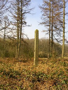 Bestand:Arnhem-lichtenbeek-grenspaal-bosrand.JPG