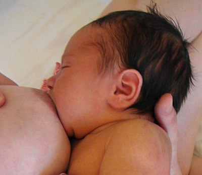 Latch (breastfeeding)