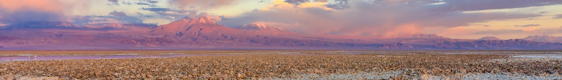 Atacama afiş.jpg