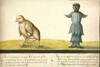 Wundersames Huhn und wundersamer Fisch (1543)