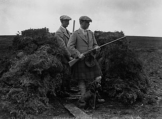 <span class="mw-page-title-main">Driven grouse shooting</span> Hunting of the red grouse