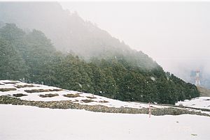 Auli-slopes.jpg