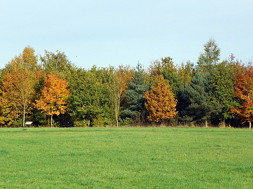 Autumn colours in Jersey Farm Woodland Park (26247964715)