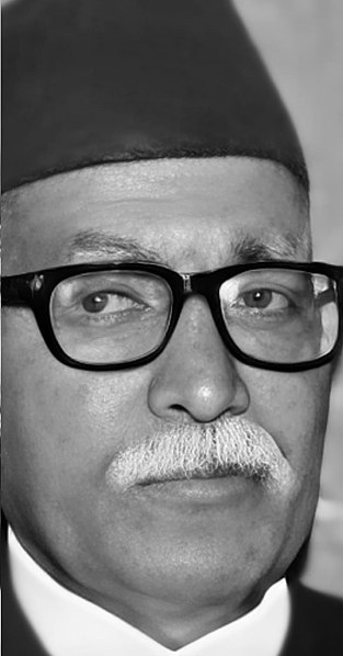 File:BP SINGH (portrait).jpg