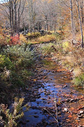 <span class="mw-page-title-main">Baker Run</span> River