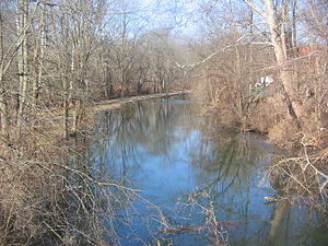 Bald Eagle Crosscut Canal 2.jpg