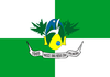 Bandeira do municipio de Palmeira (SC).png