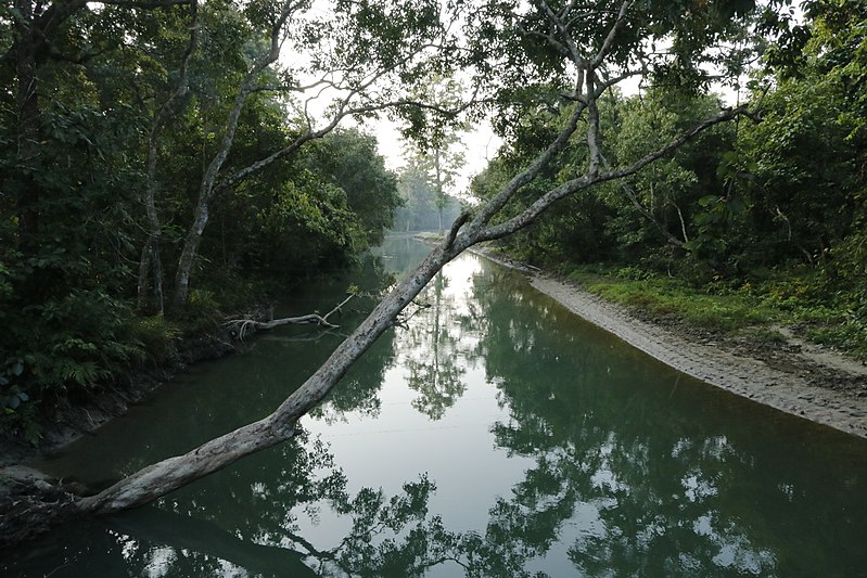 File:Bardiya, nepal.jpg