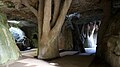 Interior dunha gruta.