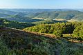 * Nomination Bieszczady mountains, Poland. View from Połonina Caryńska --Pudelek 10:38, 28 March 2017 (UTC) * Promotion Good quality --Rodrigo.Argenton 15:26, 28 March 2017 (UTC)