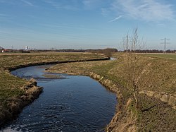 Bij Baakhoven, de Gelenbeek foto7 08.03.2015 14.57.jpg