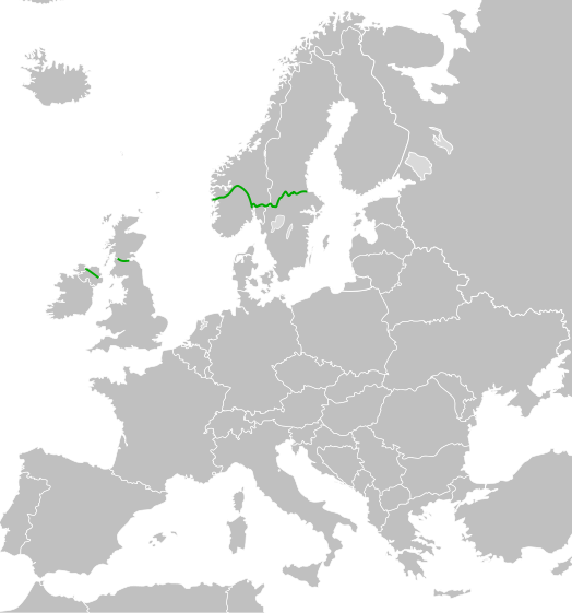 Europese weg 16