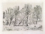 Group of Trees