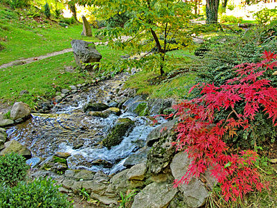 Botanical Garden Jevremovac. Author: ZoranCvetkovic — Zoran Cvetković