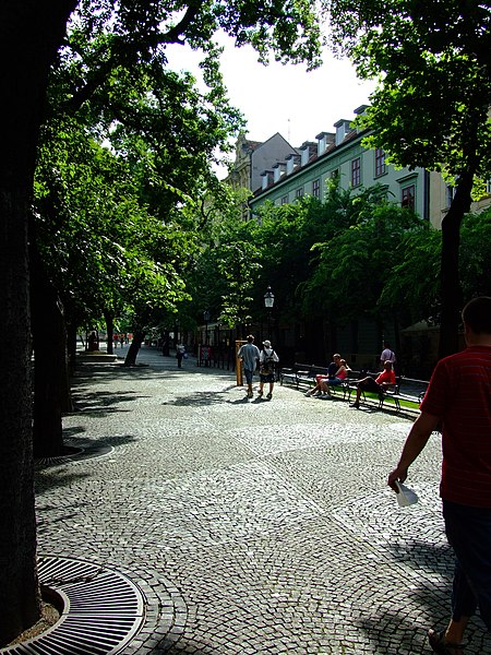 File:Bratislava, Staré Mesto, Hviezdoslavovo námestie, pěší zóna II.jpg