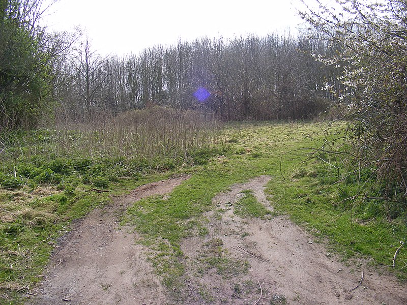 File:Bridleway link to the A12 - geograph.org.uk - 1244485.jpg