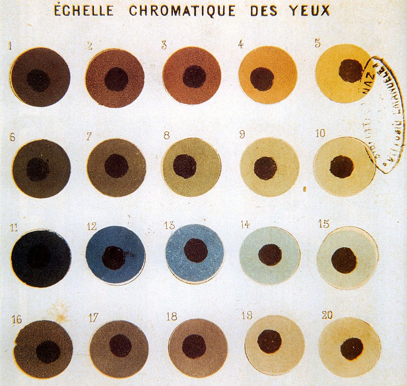 https://upload.wikimedia.org/wikipedia/commons/thumb/c/c7/Broca_Eye_Color_Chart.jpg/800px-Broca_Eye_Color_Chart.jpg