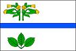 Bukovice zászlaja